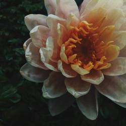 Gabriel Cruz García (Instagramer)