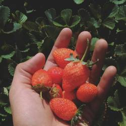 Gabriel Cruz García (Instagramer)